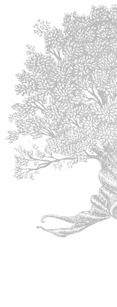 Arbor tree sketch